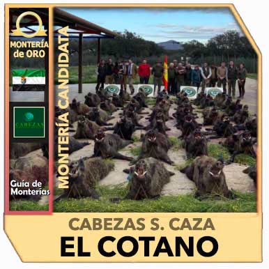 Candidatas20192020CabezasCotano2