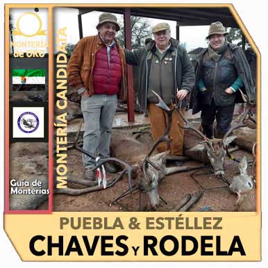 Candidatas20192020EPueblaEstellezChaves