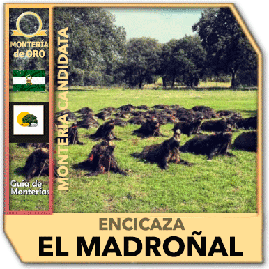 Candidatas20192020EncicazaElMadronal