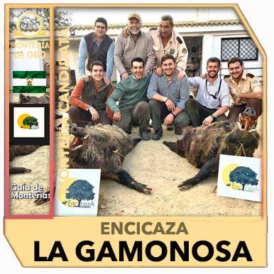 Candidatas20192020EncicazaLaGamonosa