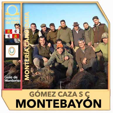 Candidatas20192020GomezCazaMontebayon