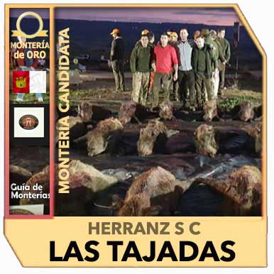 Candidatas20192020HerranzLasTajadas