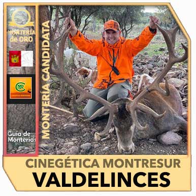 Candidatas20192020MontresurValdelinces