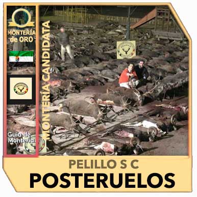 Candidatas20192020PelilloPosteruelos