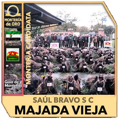 Candidatas20192020SaulBravoMAJADAVIEJA