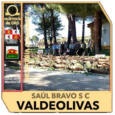 Candidatas20192020SaulBravoValdeolivas