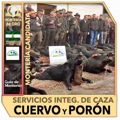 Candidatas20192020ServiciosIntegralesCuervoyPoron2