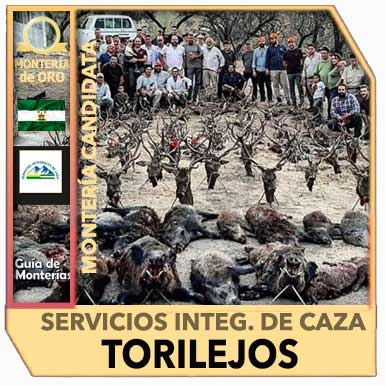 Candidatas20192020ServiciosIntegralesTorilejos
