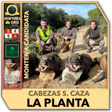 Candidatas20202021CabezasLapLanta