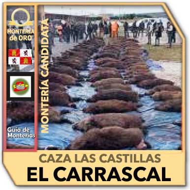 Candidatas20202021CazalasCastillas