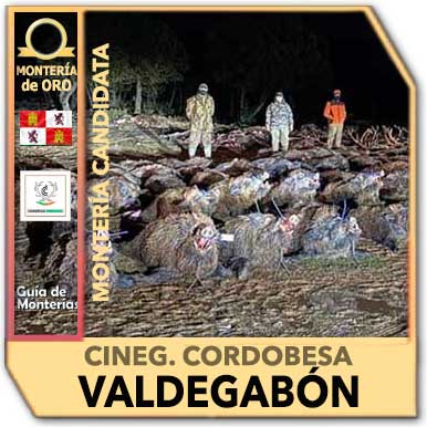 Candidatas20202021CordobesaValdegabon