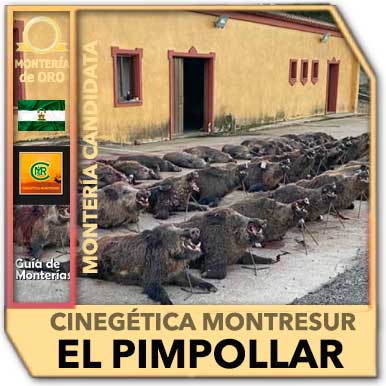 Candidatas20202021MontresurElPimpollar