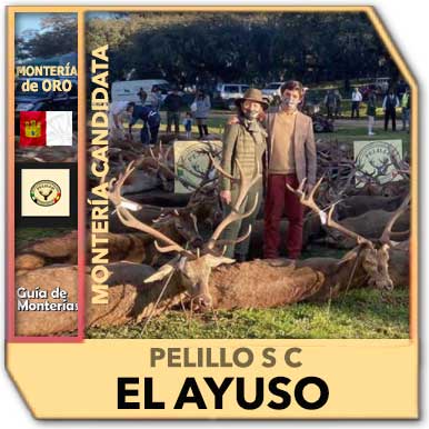 Candidatas20202021PelilloElAyuso