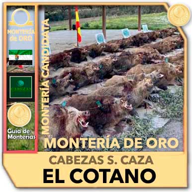 Candidatas20202021PremiadaOroElCotano