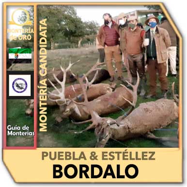 Candidatas20202021PueblaEstellezBordalo