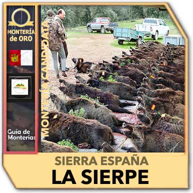 Candidatas20202021SierraEspanaSierpe