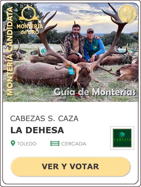 Candidatas20202021MonterosdelHitoCantillana