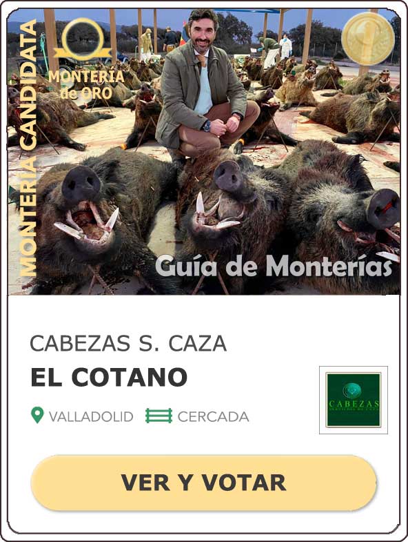 CandidatasPueblaEstellez Chaves