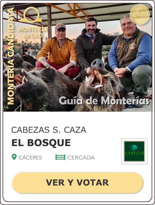 CandidatasPueblaEstellez Chaves