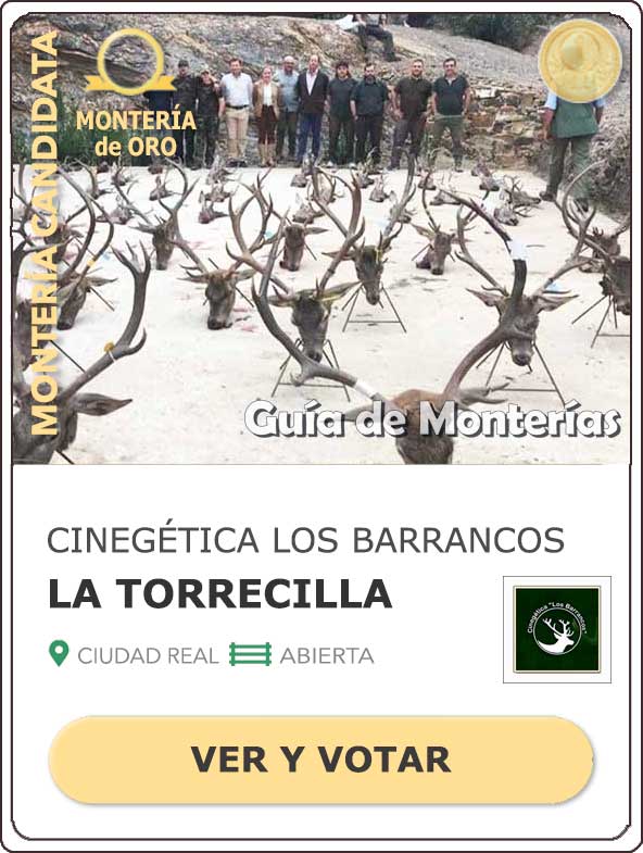 Candidatas20202021MonterosdelHitoCantillana