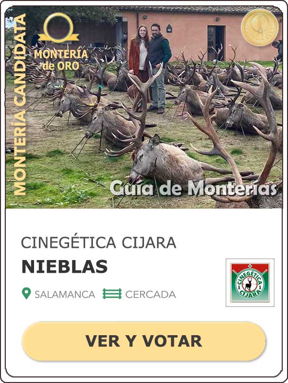 CandidatasPueblaEstellez Chaves