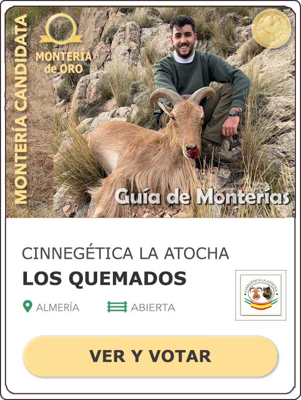 Candidatas20202021MonterosdelHitoCantillana