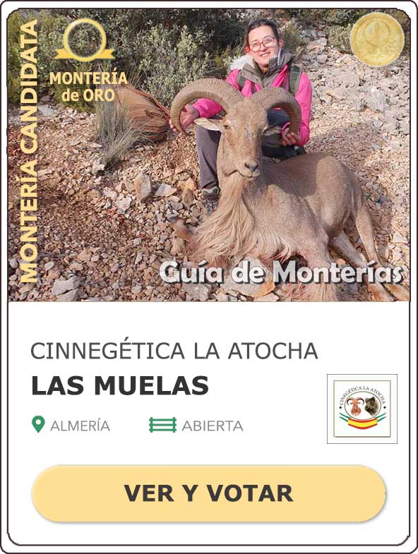 Candidatas20202021MonterosdelHitoCantillana