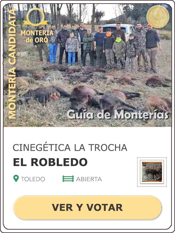 Candidatas20202021MonterosdelHitoCantillana