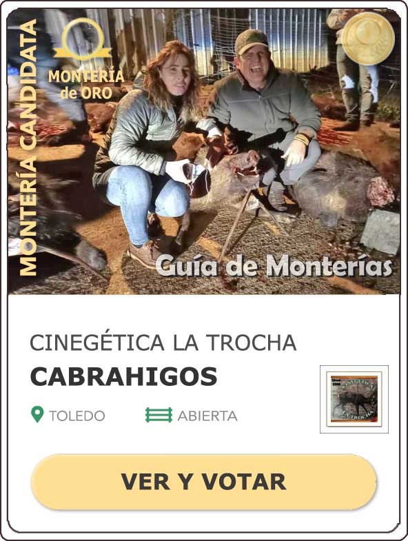 Candidatas20202021MonterosdelHitoCantillana