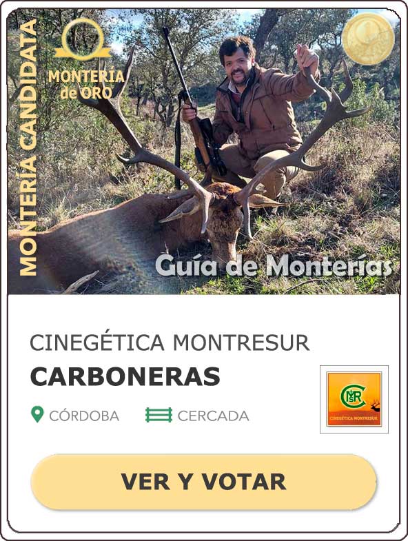 Candidatas20202021MonterosdelHitoCantillana