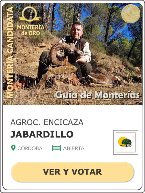 Candidatas20202021MonterosdelHitoCantillana