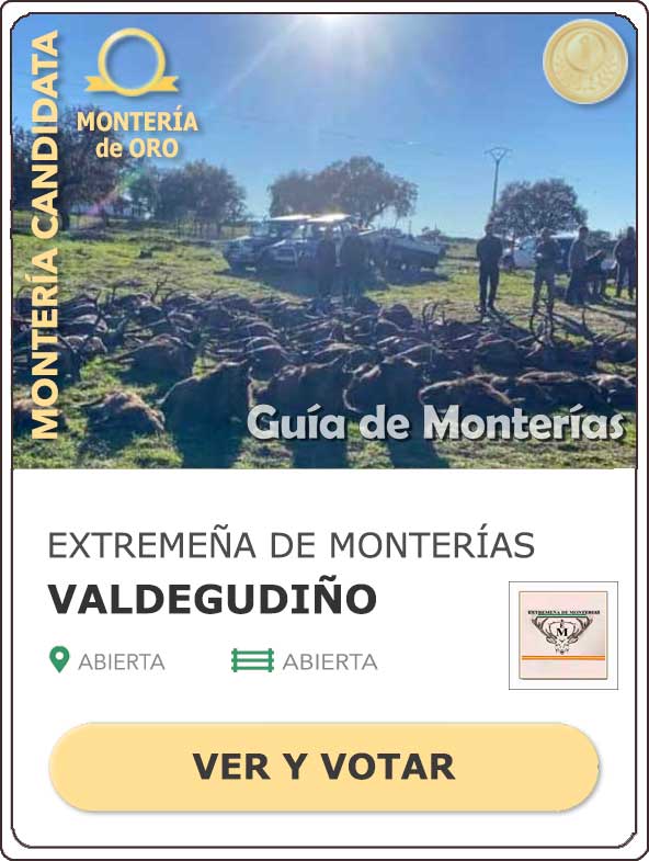 Candidatas20202021MonterosdelHitoCantillana