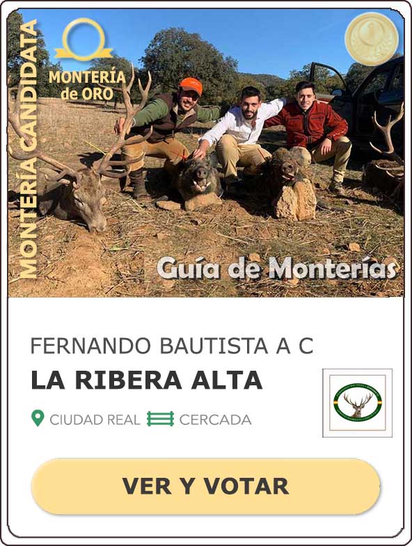 Candidatas20202021MonterosdelHitoCantillana