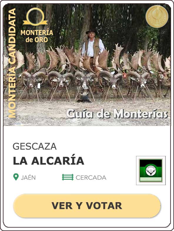 Candidatas20202021MonterosdelHitoCantillana