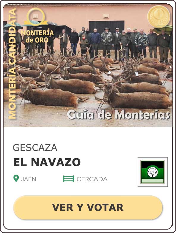 Candidatas20202021MonterosdelHitoCantillana