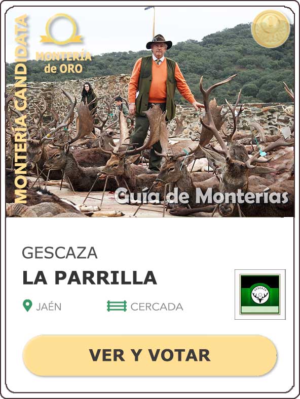 Candidatas20202021MonterosdelHitoCantillana