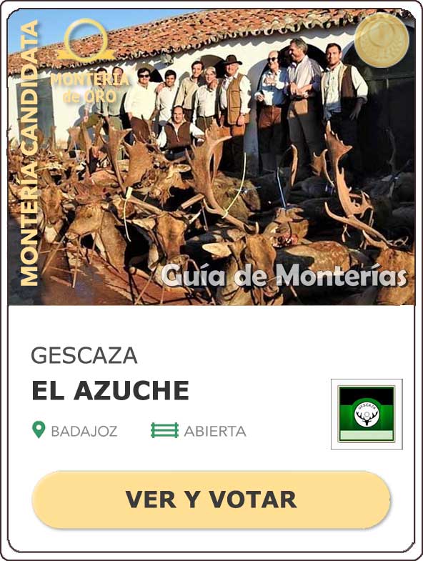 Candidatas20202021MonterosdelHitoCantillana