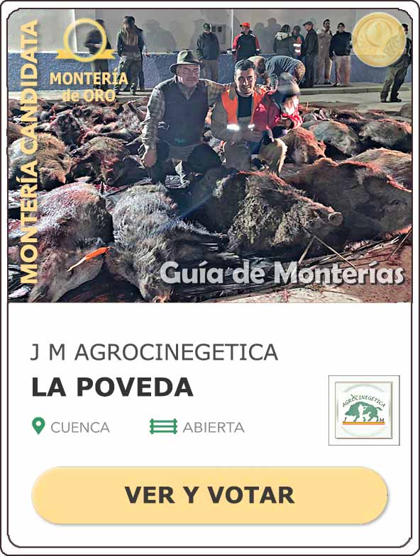 Candidatas20202021MonterosdelHitoCantillana