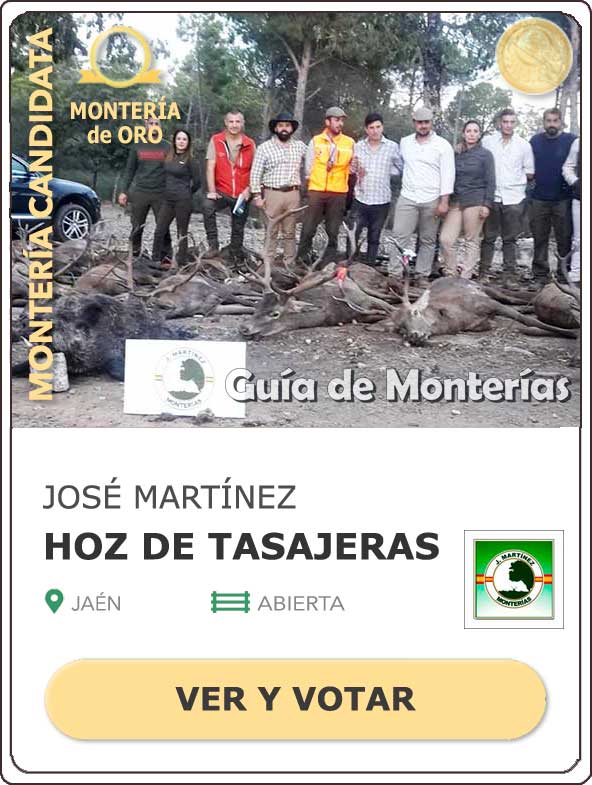 Candidatas20202021MonterosdelHitoCantillana