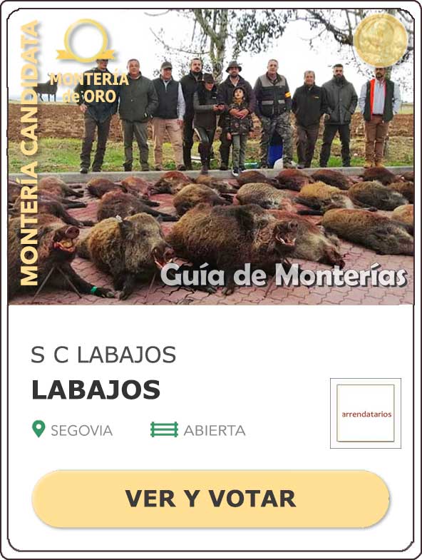 Candidatas20202021MonterosdelHitoCantillana