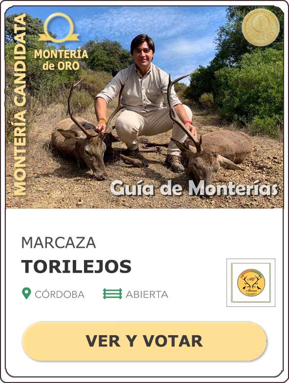 Candidatas20202021MonterosdelHitoCantillana