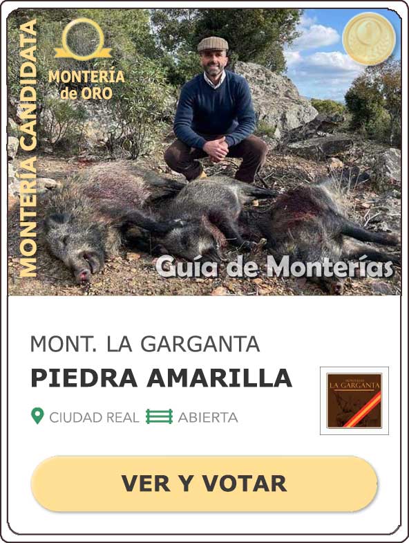 Candidatas20202021MonterosdelHitoCantillana