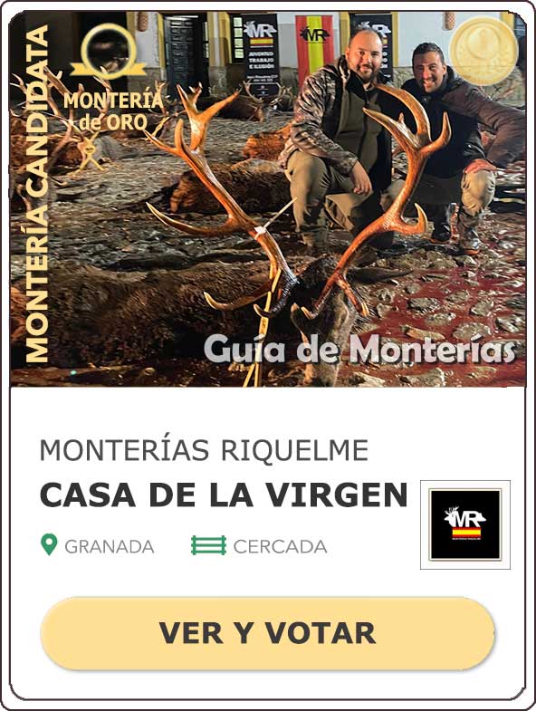 Candidatas20202021MonterosdelHitoCantillana