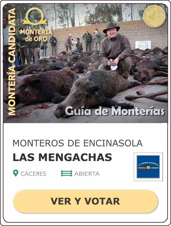 Candidatas20202021MonterosdelHitoCantillana