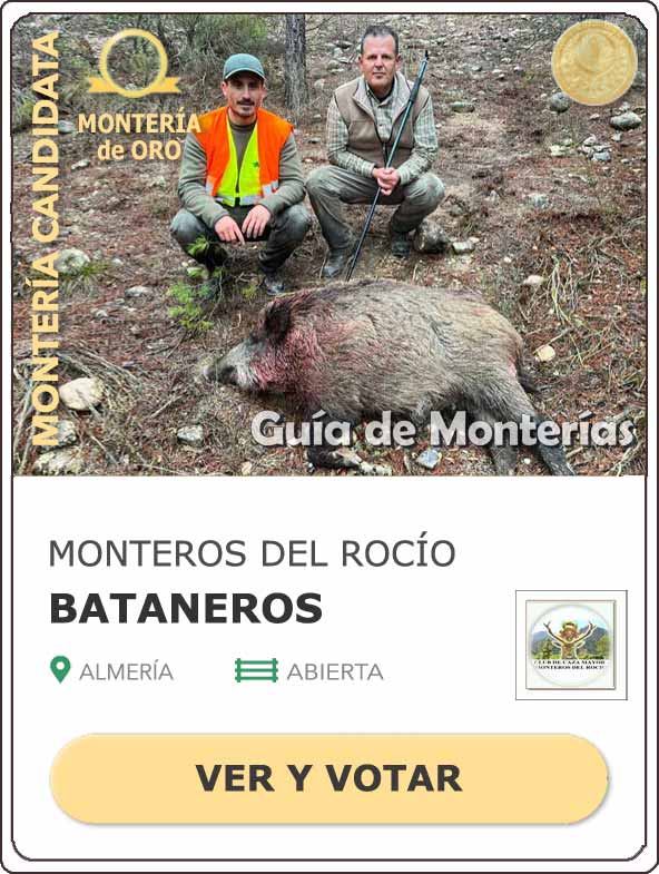 Candidatas20202021MonterosdelHitoCantillana