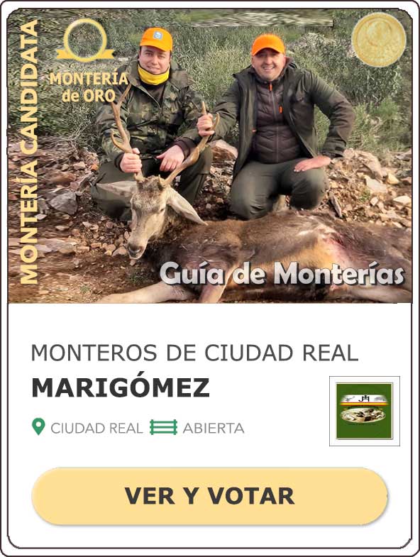 Candidatas20202021MonterosdelHitoCantillana