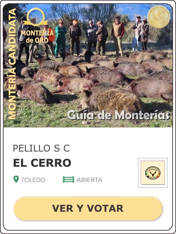 Candidatas20202021MonterosdelHitoCantillana