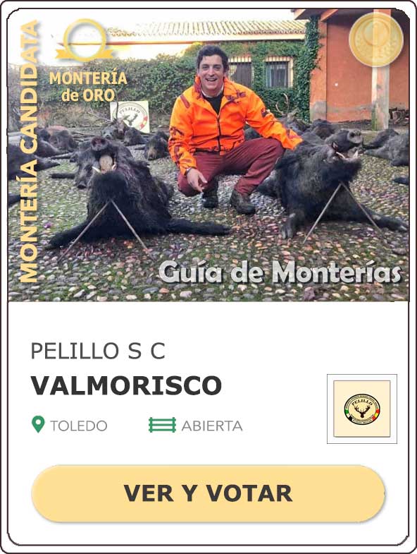 Candidatas20202021MonterosdelHitoCantillana