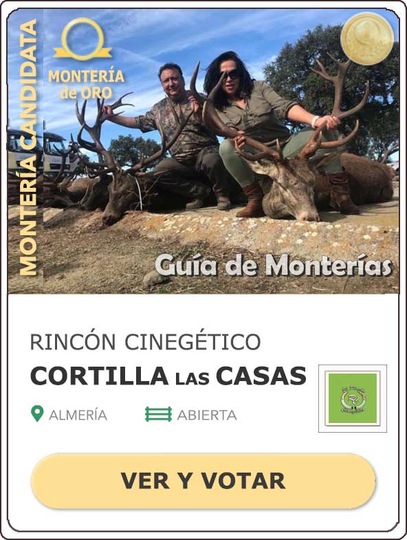 Candidatas20202021MonterosdelHitoCantillana