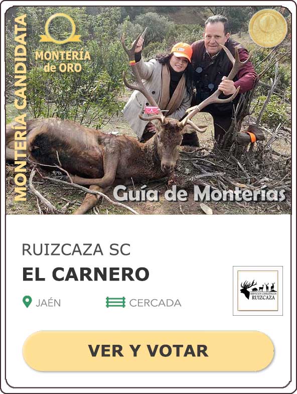 Candidatas20202021MonterosdelHitoCantillana